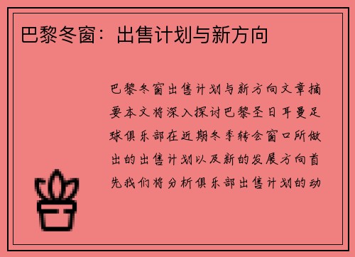巴黎冬窗：出售计划与新方向